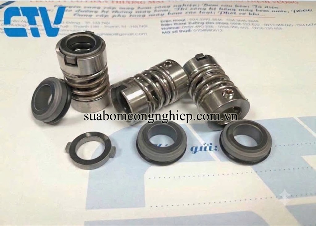 Phớt máy bơm cơ khí trục đứng Dragon DVM 1 - 360
