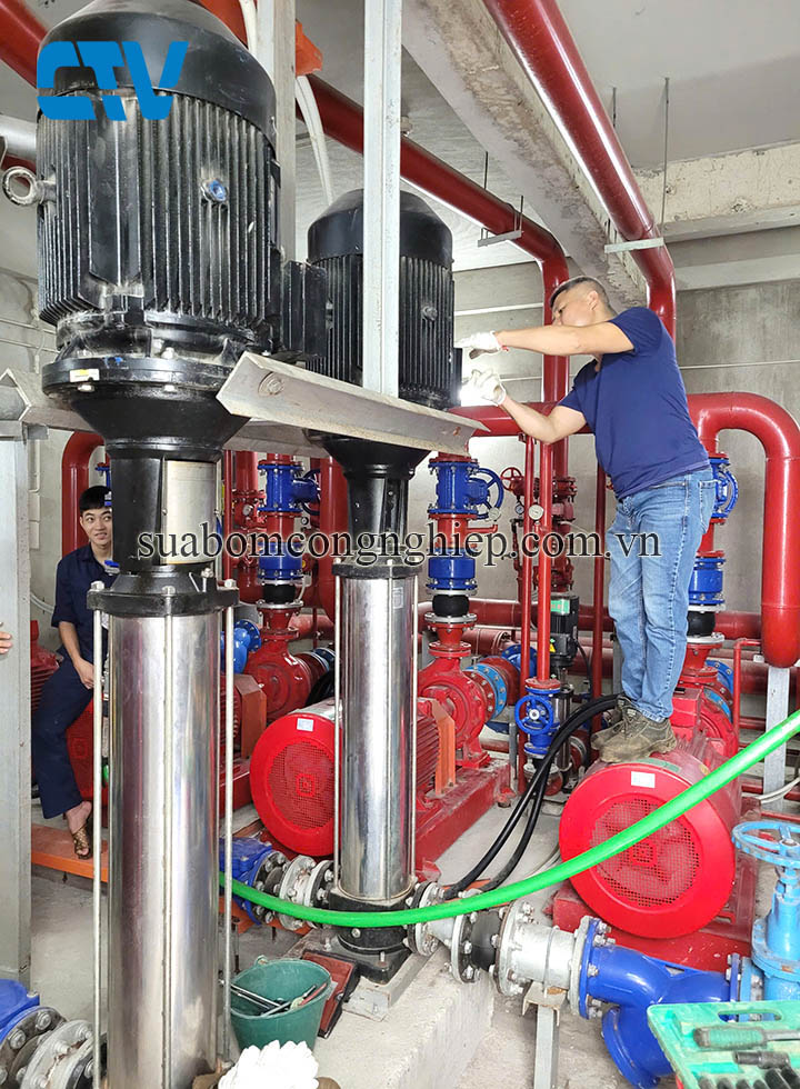 Dịch vụ bảo dưỡng hệ máy bơm trục đứng chuyên nghiệp, giá cạnh tranh