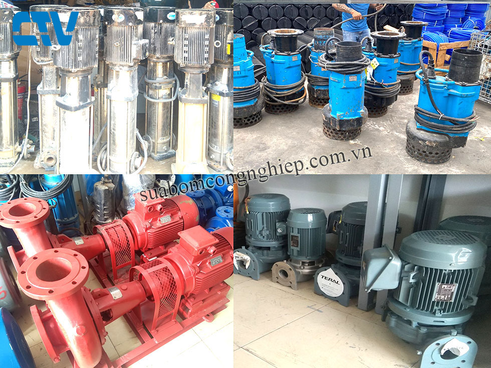 Thuê máy bơm nước uy tín - Giá tốt nhất thị trường