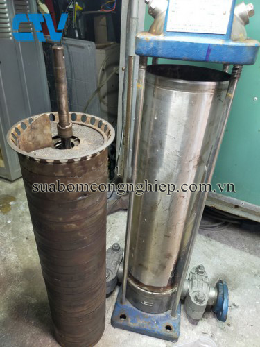 Công ty in phong bì tại Hà Nội